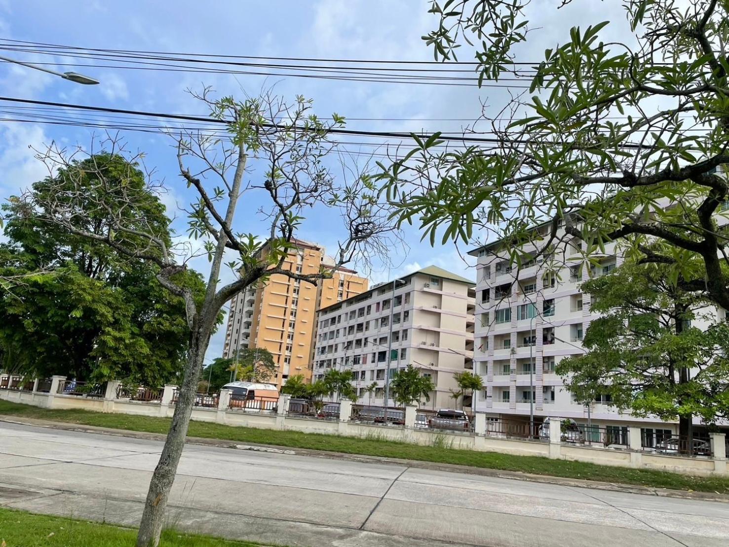 Apartment Town 2 Bedroom With Balcony-cats Friendly