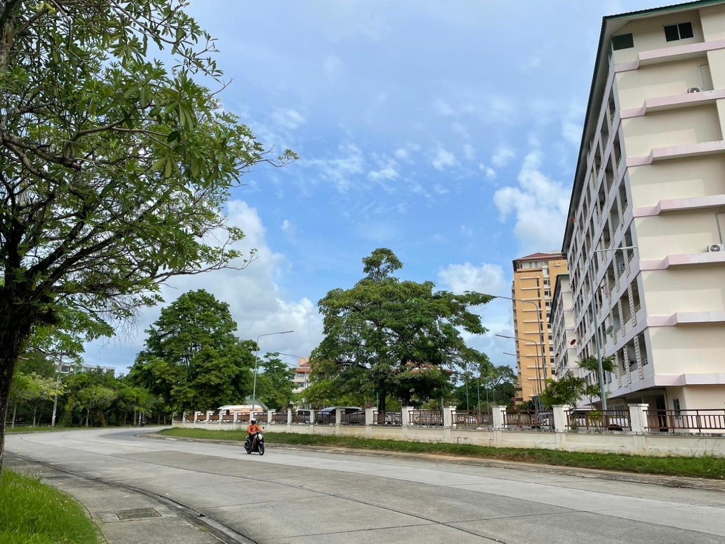 Town 2 Bedroom With Balcony-cats Friendly Phuket